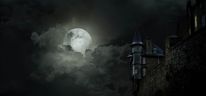 Moonlit Princess