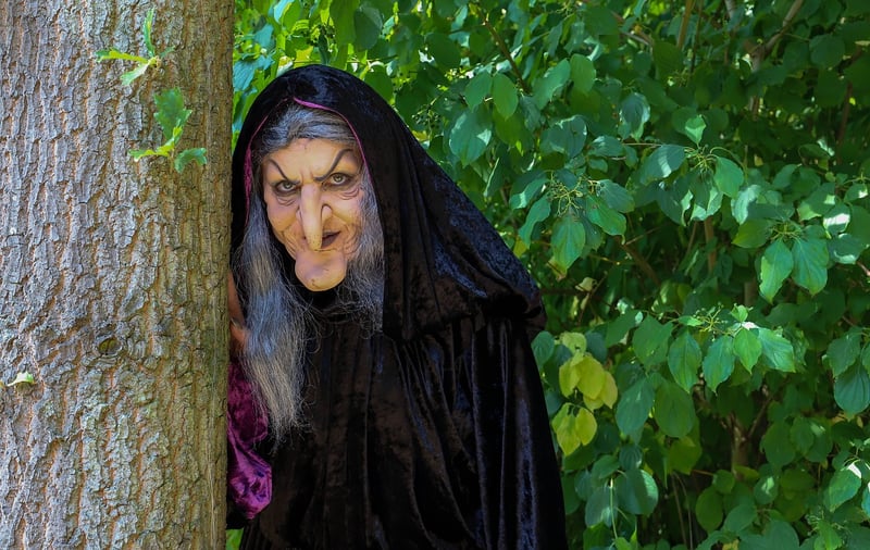 Forest Fairy